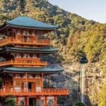 From Tokyo: Nikko Private Customized Tour with English Guide - Who Is This Tour Best For?