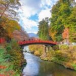 From Tokyo: Nikko Private Tour with English-Speaking Guide - Transportation, Timing, and Group Dynamics