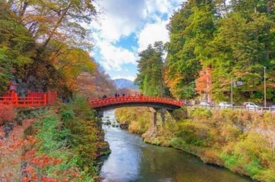From Tokyo: Nikko Private Tour with English-Speaking Guide - Transportation, Timing, and Group Dynamics