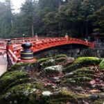 From Tokyo: Nikko Private Tour with Guide & Pickup - In-Depth Look at the Tour Logistics