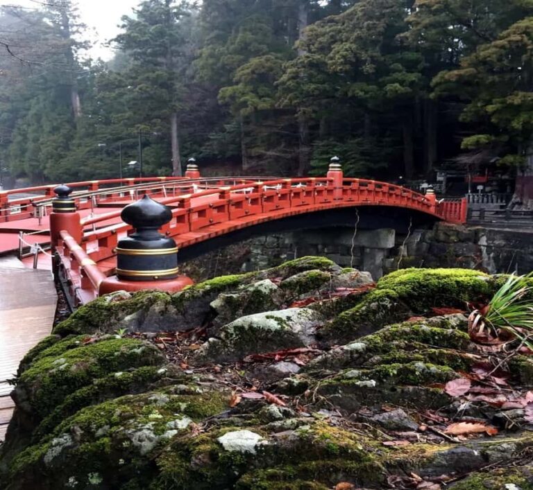 From Tokyo: Nikko Private Tour with Guide & Pickup - In-Depth Look at the Tour Logistics