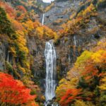 From Tokyo: nikko private tour with hotel pickup & drop-off - Who Should Consider This Tour?