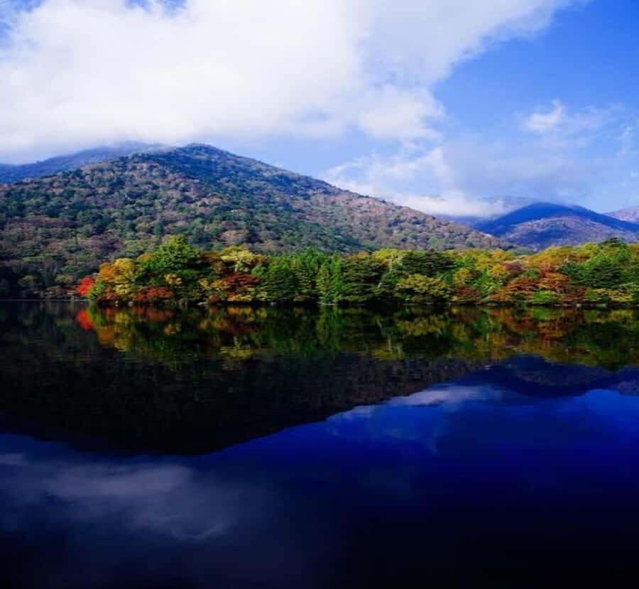 From Tokyo: Nikko Private Tour with Kegon Falls - Transport, Timing, and Practicalities