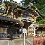 From Tokyo: Nikko Private Tour with Toshogu Shrine & Falls - Practical Details and Insights