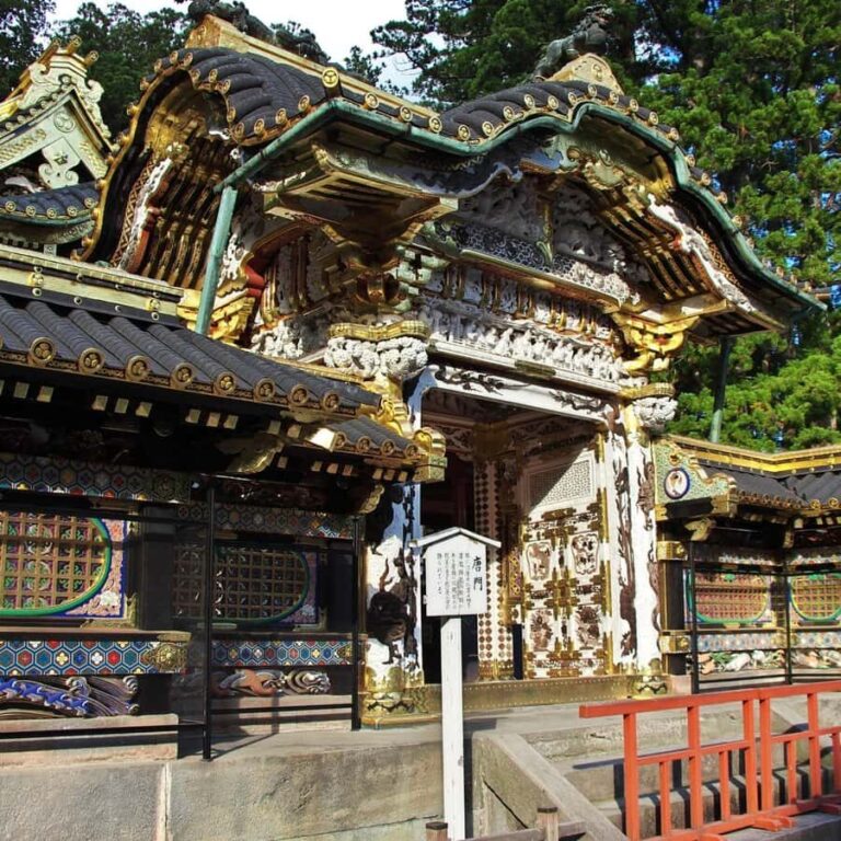From Tokyo: Nikko Private Tour with Toshogu Shrine & Falls - Practical Details and Insights