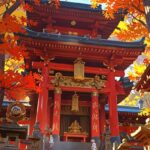 From Tokyo: Nikko World Heritage Customizable Private Tour - Who Will Love This Tour?