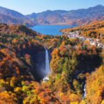 From Tokyo: Nikko World Heritage Private Tour with Guide - Who Will Love This Tour?