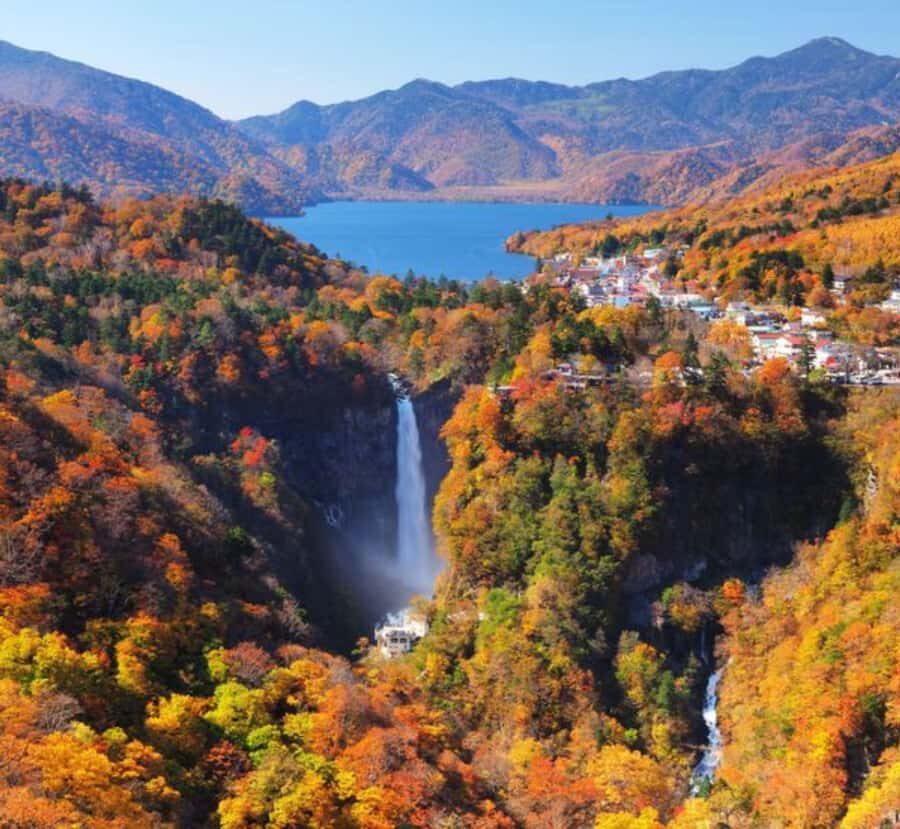 From Tokyo: Nikko World Heritage Private Tour with Guide - Who Will Love This Tour?