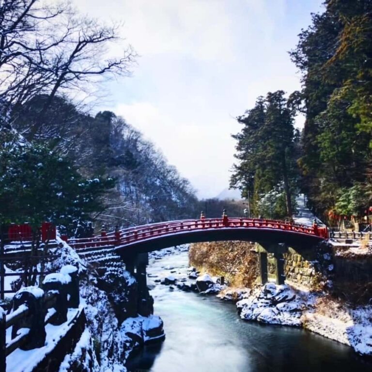 From Tokyo: Nikko World Heritage Private Tour With Guide - Practical Details: Transportation, Duration, and Cost