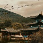 From Tokyo: Nikko World Heritage Site Private Day Trip - Exploring Toshogu Shrine: Japan’s Ornate Mausoleum