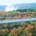 From Tokyo: Numazu Port, Mishima Skywalk, Mt. Fuji View Tour - Practical Details and Tips