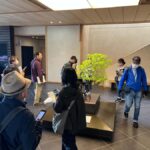 From Tokyo: Omiya Bonsai Village Tour with Licensed Guide - The Practicalities: Transportation & Personal Tips