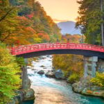 From Tokyo: Onsen, Temples and Nature Day Trip to Nikko - Final Thoughts: Who Is This Tour Perfect For?