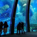 From Tokyo: Private Full day Yokohama Tour w/Hotel Pick up - An In-Depth Look at the Yokohama Tour Experience