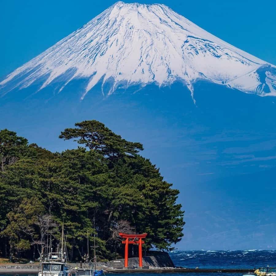 From Tokyo: Private Mount Fuji & Hakone Custom Day Tour - Exploring Japan’s Icons: An In-Depth Review