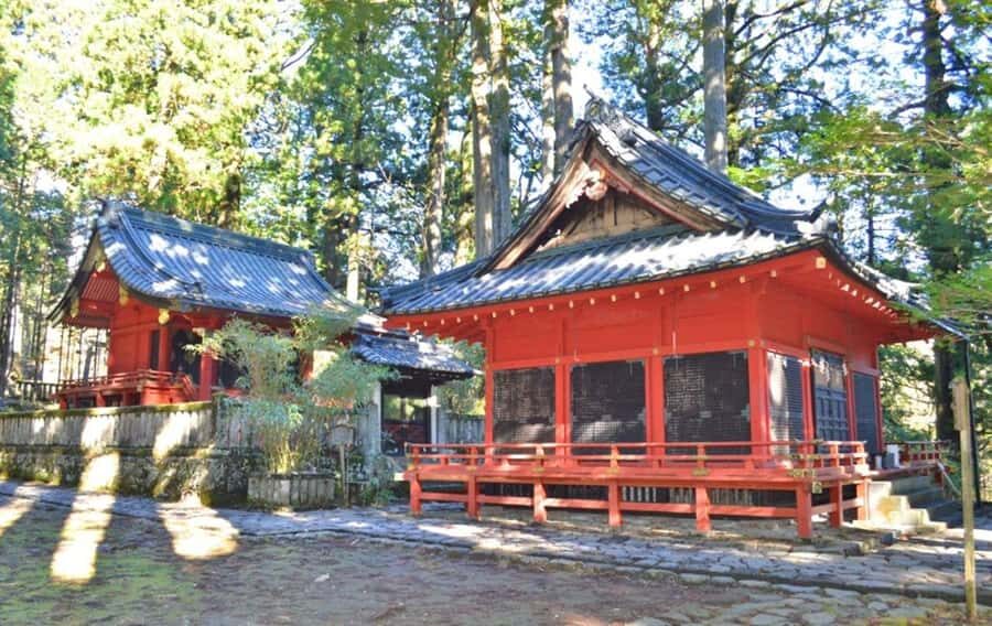 From Tokyo: Private Nikko Shrines and Nature Day Tour - The Downside: Things to Keep in Mind