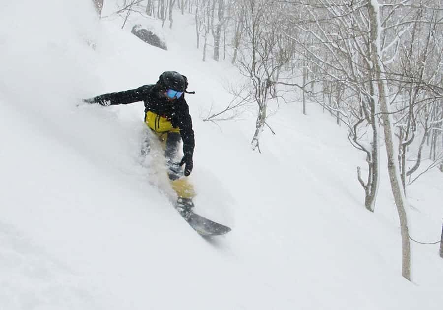 From Tokyo: Ski DayTrip with Gears & Wears to Hodaigi - Transport & Timing: Making It Easy
