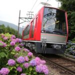 From Tokyo to Hakone: Train Tickets and Hakone Free Pass - Transportation and Timing