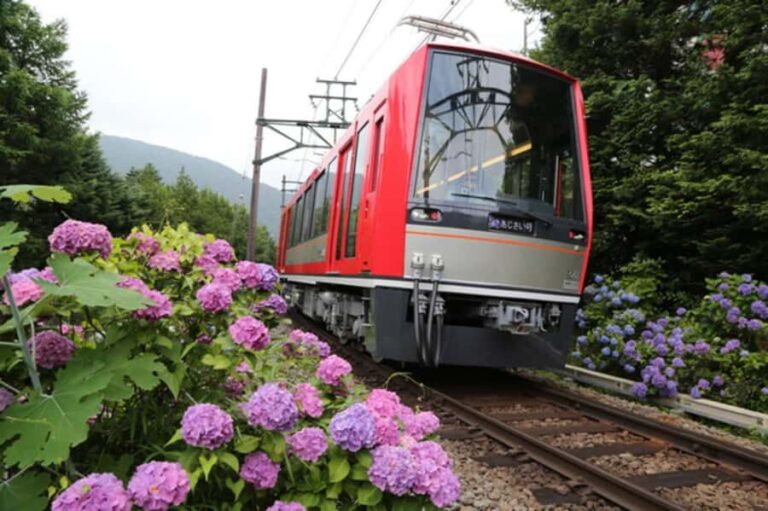 From Tokyo to Hakone: Train Tickets and Hakone Free Pass - Transportation and Timing