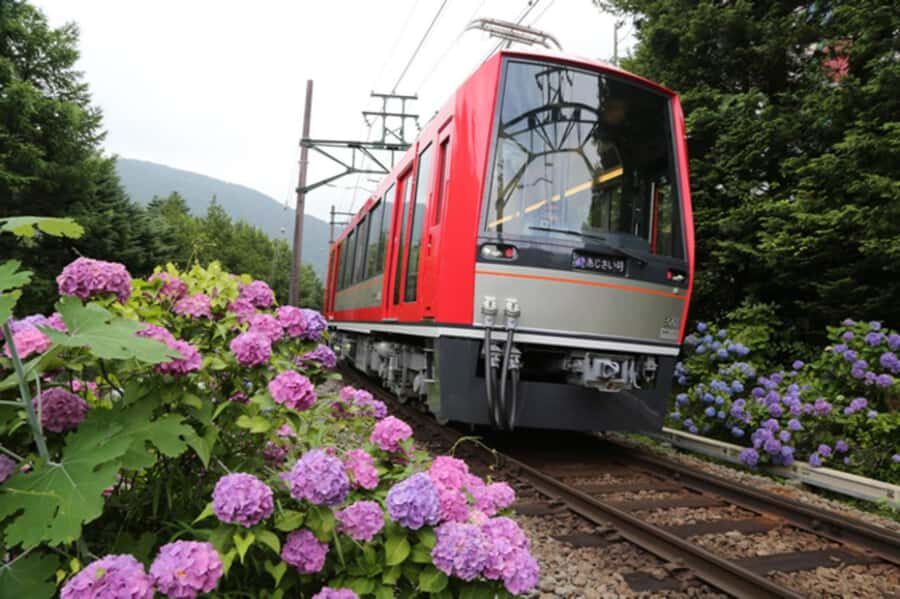 From Tokyo to Hakone: Train Tickets and Hakone Free Pass - Transportation and Timing