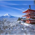 From Tokyo to the Clouds:A Private customize Mount Fuji Tour - Who This Tour Is Perfect For