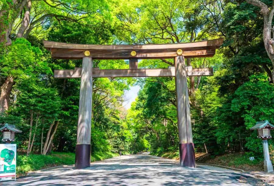 From Tokyo: Tokyo City One-Day Private Tour with Guide - An In-Depth Look at the Tour Itinerary