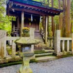 From Tokyo VIP Mt. Fuji VIP Customized Private One Day Tour. - Who Should Consider This Tour?