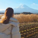 From Tokyo:Mount Fuji Private Customizable Tour with Guide - Who Will Love This Tour?