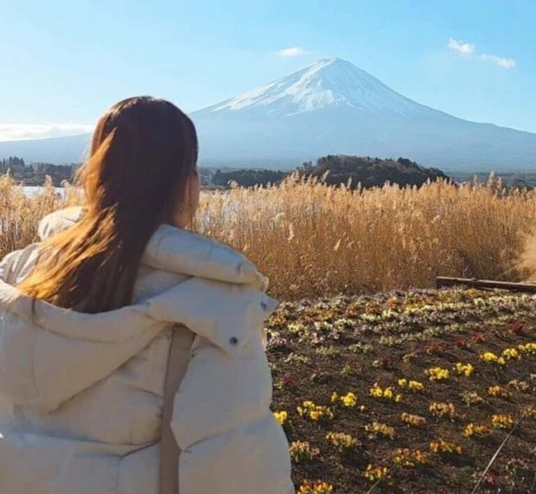 From Tokyo:Mount Fuji Private Customizable Tour with Guide - Who Will Love This Tour?