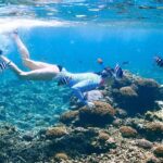 From Trawangan: Snorkling, Statue, and Visit Turtle Sactuary - Final Thoughts: Is This Tour for You?