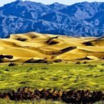 From UB: 2 Days Private Tour to Kharkhorin and Mini Semi Gobi - Practical Details and What to Expect