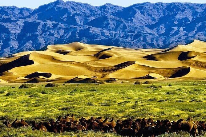 From UB: 2 Days Private Tour to Kharkhorin and Mini Semi Gobi - Practical Details and What to Expect