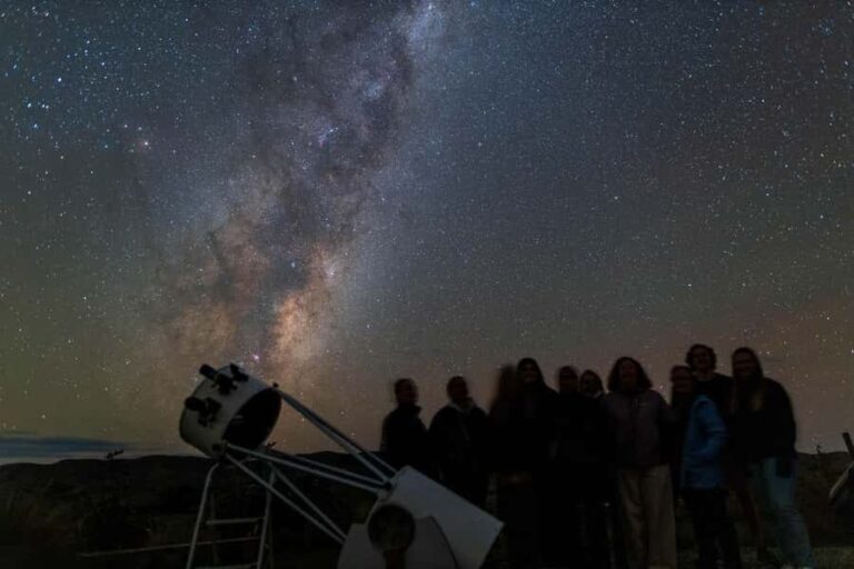 From Wairarapa: Star Safari with Astronomers & VR Experience - Why This Tour Offers Great Value