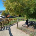 From Wanaka - Bike the Dunstan Trail with shuttle return - The Bikes and Riding Experience