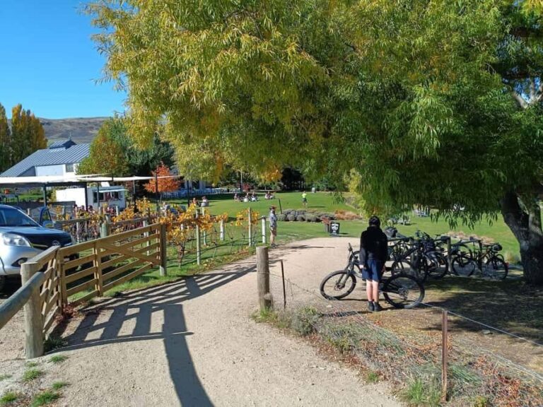 From Wanaka - Bike the Dunstan Trail with shuttle return - The Bikes and Riding Experience