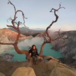 From Yogyakarta: Bromo, ijen, Bali 3days Tour all inclusive - Key Points