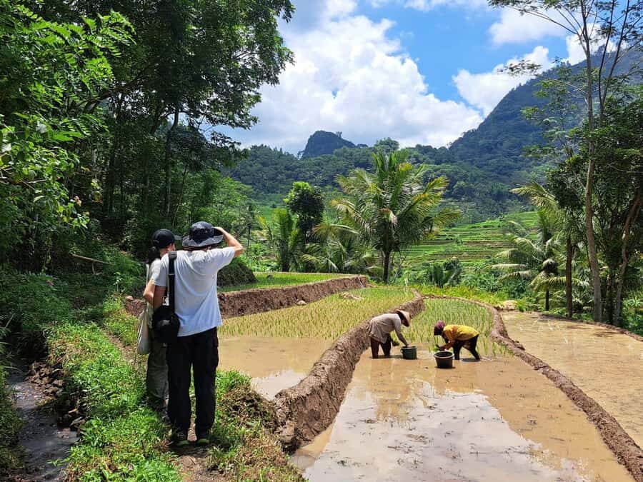 From Yogyakarta: Hidden Waterfall & Selogriyo Rice Terraces - What We Think About the Tour’s Value