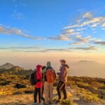 From Yogyakarta: Mount Bromo & Ijen Blue fire with Drop Bali - Transport and Logistics: What You Need to Know