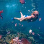 From Yogyakarta: Private 3-Day Karimunjawa Island Tour - What Makes This Tour Stand Out?