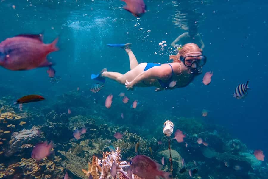 From Yogyakarta: Private 3-Day Karimunjawa Island Tour - What Makes This Tour Stand Out?