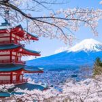 From Yokohama Port Arakurayama & G. Outlets 10 Hour Private Tour - In-Depth Look at the Itinerary