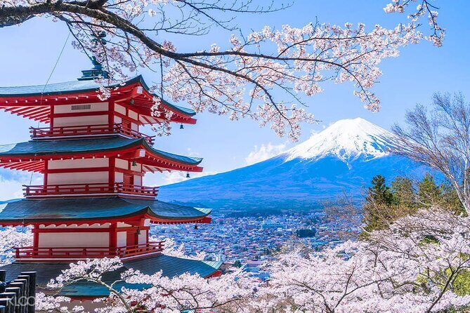 From Yokohama Port Arakurayama & G. Outlets 10 Hour Private Tour - In-Depth Look at the Itinerary