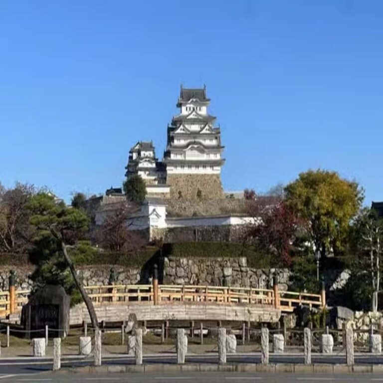 From:Osaka&Kyoto: Kobe & Himeji Private Family Day Trip - First Stop: Himeji Taiyo Park - A Fun Introduction