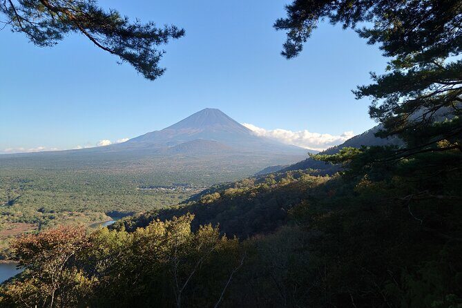 Fuji 5 Lakes Forest Bathing - FAQ