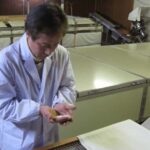 Fujinomiya: Fuji Takasago Sake Brewery Tour & Tasting - The Experience: What to Expect at Fuji Takasago Sake Brewery