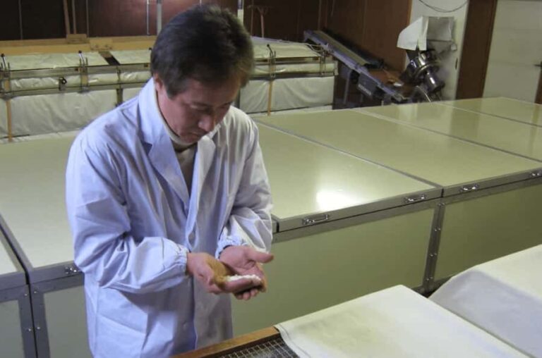 Fujinomiya: Fuji Takasago Sake Brewery Tour & Tasting - The Experience: What to Expect at Fuji Takasago Sake Brewery