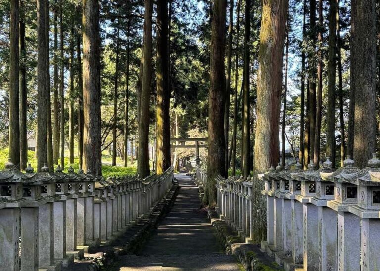 Fujinomiya: Mt. Fuji Private Taxi Tour - Exploring the Itinerary in Detail