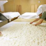 Fukui City: Funaki Sake Brewery Tour and Tasting - Exploring Fukui’s Hidden Gem: Funaki Sake Brewery