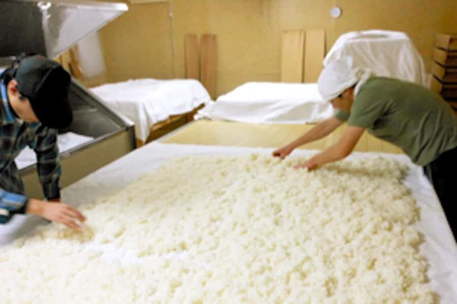 Fukui City: Funaki Sake Brewery Tour and Tasting