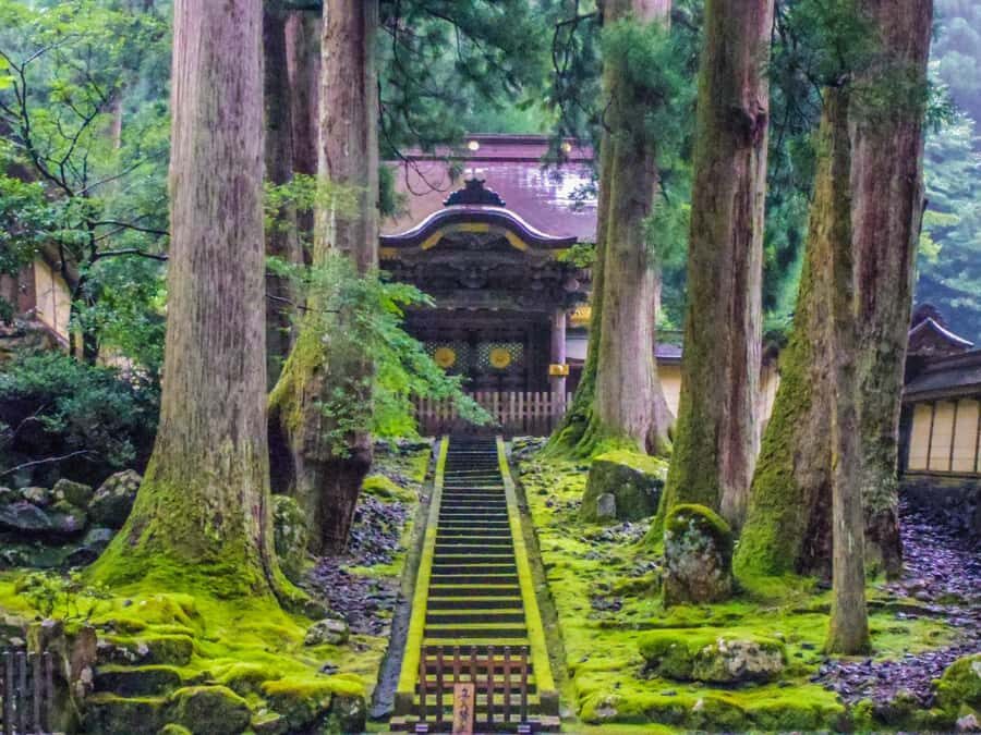 Fukui: Eiheiji Temple and the Heart of Zen Buddhism - Who Should Consider This Tour?